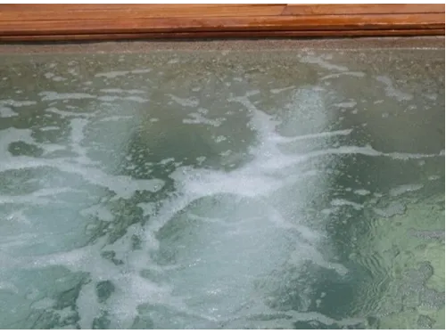 Форсунка гидромассажная Hayward TURBO-JET SP1450TVE, 15 м.куб./час (под лайнер)