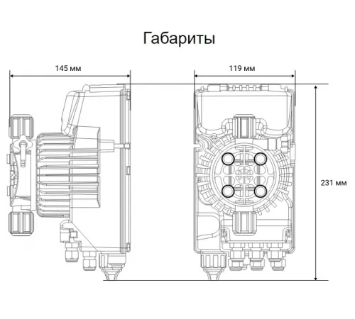 Насос дозатор хим. реагентов (альгицид/коагулянт) Aquaviva TPG803 Universal 0.1-54 л/ч