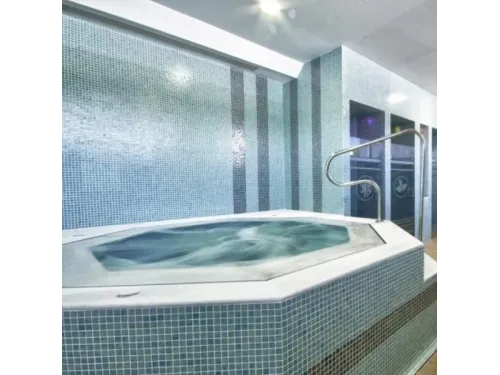 Мозаика стеклянная Ezarri модели 2518 B