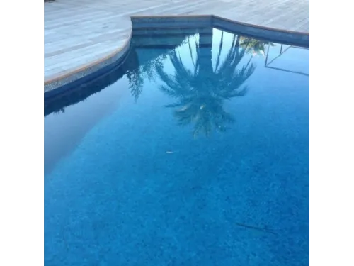 Мозаика стеклянная Ezarri модели Capricorn