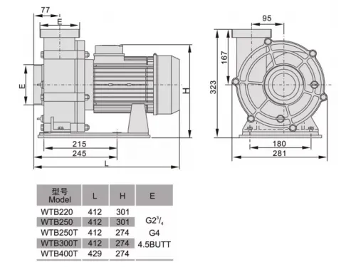 Насос (80 м3/ч, 4 кВт/ч, 380B) Mayer Schwimmbad WTB400T