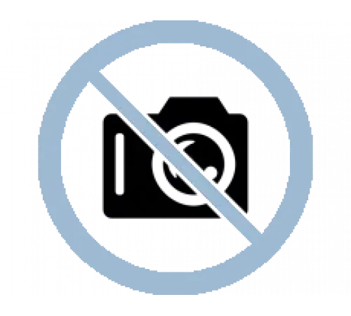 Винт-заглушка крышки бочки фильтра Balear BL Kripsol R.1200003.4/RFD0100.12R