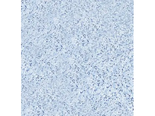 Пленка ПВХ (лайнер) (рулон 1,65х25,2 м.) Aquaviva 1,5 мм. Terrazzo мрамор