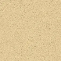 Пленка ПВХ (лайнер) (рулон 1,65*25 м.) CGT AQUASENSE GOLDEN RIVIERA 1,8 мм. (песочная, рельеф)