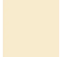 Пленка ПВХ (лайнер) (рулон 1,65*25 м.) CGT PF3000 Sand 1,5 мм. (песочная)