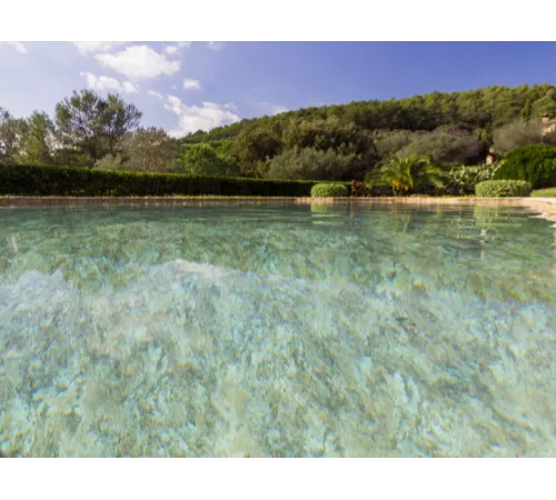 Пленка ПВХ (лайнер) (рулон 1,65*21 м.) RENOLIT ALKORPLAN 3000 2 мм. TOUCH Authentic (рельеф)