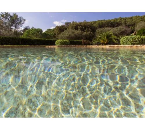 Пленка ПВХ (лайнер) (рулон 1,65*21 м.) RENOLIT ALKORPLAN 3000 2 мм. TOUCH Authentic (рельеф)