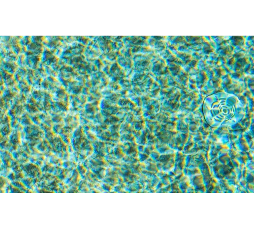 Пленка ПВХ (лайнер) (рулон 1,65*21 м.) RENOLIT ALKORPLAN 3000 2 мм. TOUCH Authentic (рельеф)