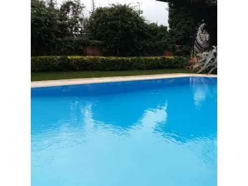 Пленка ПВХ (лайнер) (рулон 2,05*25 м.) CGT PF3000 1,5 мм. Adriatic (голубая)