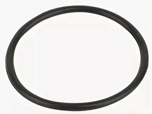 Прокладка-кольцо фланца бочки фильтра FSU Emaux (02010045)