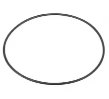 Прокладка-кольцо корпуса насосов WTB Mayer Schwimmbad
