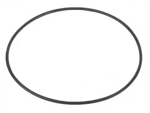 Прокладка-кольцо корпуса насосов LP Mayer Schwimmbad