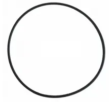 Прокладка-кольцо корпуса насоса КА/КАР Kripsol RKA 220.R/RBH0017.00R