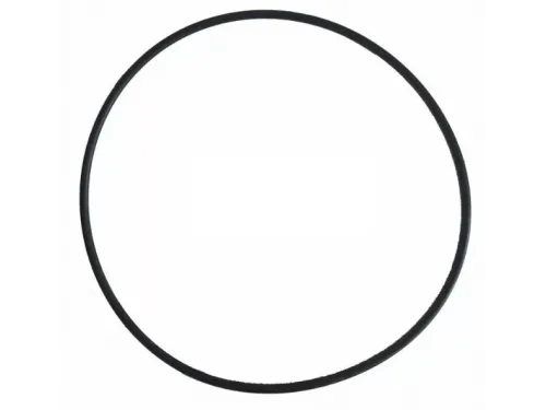 Прокладка-кольцо корпуса насоса КА/КАР Kripsol RKA 220.R/RBH0017.00R