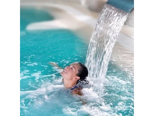 Водопад Aquaviva Dolphin AQ-5070 (500х700 мм) из нерж. стали AISI-304