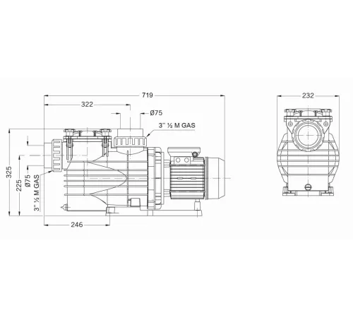 Насос (27.6 м3/ч, 1.5 кВт/ч, 220В) PSH MAXI-20M (1MAX0200M2V) (для морской воды)