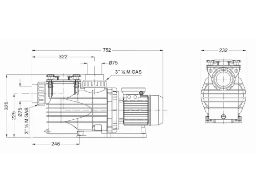 Насос (52.2 м3/ч, 3 кВт/ч, 380В) PSH MAXI-40T (1MAX0400T4V) (для морской воды)
