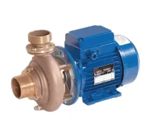 Насос (18.5 м3/ч, 1.1 кВт/ч, 380В) Hugo Lahme 7230250