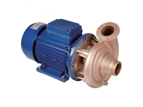 Насос (45 м3/ч, 2.2 кВт/ч, 380В) Hugo Lahme 7751050