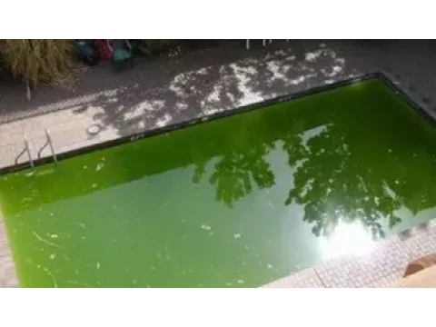 Причины ухудшения качества воды в бассейне и способы их решения