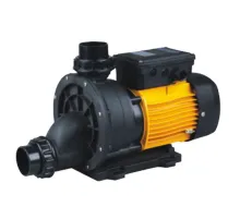 Насос (21 м3/ч, 1.8 кВт/ч, 220В) Pool King BTP-1500A