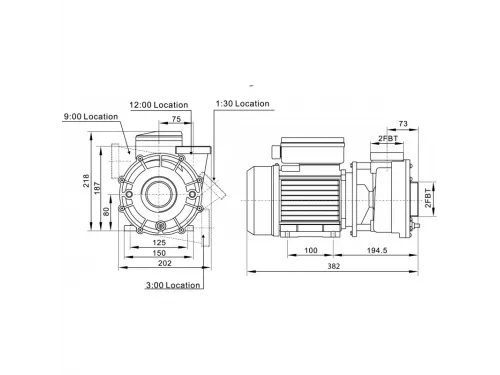 Насос (30 м3/ч, 1.85 кВт/ч, 220В) Pool King LP250