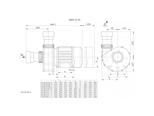 Насос (85 м3/ч, 4.6 кВт/ч, 380В) Speck BADU 21-81/34 G