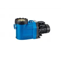 Насос (20 м3/ч, 1 кВт/ч, 380В) Speck Badu Prime 20 (219.0208.037)
