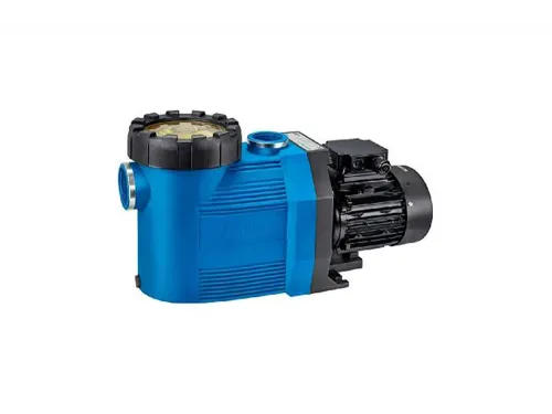Насос (20 м3/ч, 1 кВт/ч, 380В) Speck Badu Prime 20 (219.0208.037)