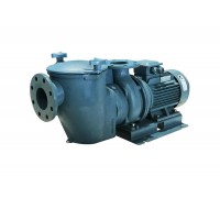 Насос (11 кВт 380В) Emaux SE15 88026813А