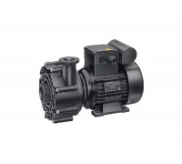 Насос (0,75кВт 220В) Badu 21-40/54 G Speck (234.0540.138)