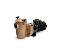 Насос бронзовый 2.2kw, 380В с префильтром  Pahlen 11221