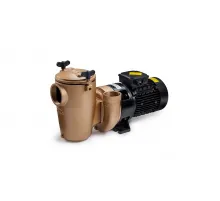 Насос (45 м3/ч, 2.2 кВт/ч, 380В) Pahlen 11221