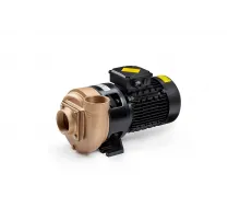 Насос (45 м3/ч, 2.2 кВт/ч, 380В) Pahlen 11521 (бронзовый)