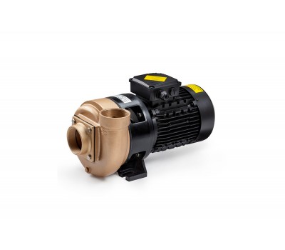 Насос бронзовый 2.2kw, 380В без префильтра Pahlen 11521
