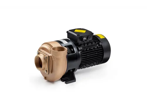 Насос (45 м3/ч, 2.2 кВт/ч, 380В) Pahlen 11521 (бронзовый)