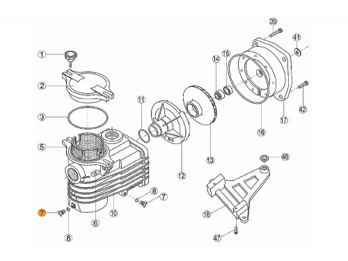 Винт сливной префильтра насосов OK,NK,KS,KAP с прокладкой Kripsol RKS 195.A/7