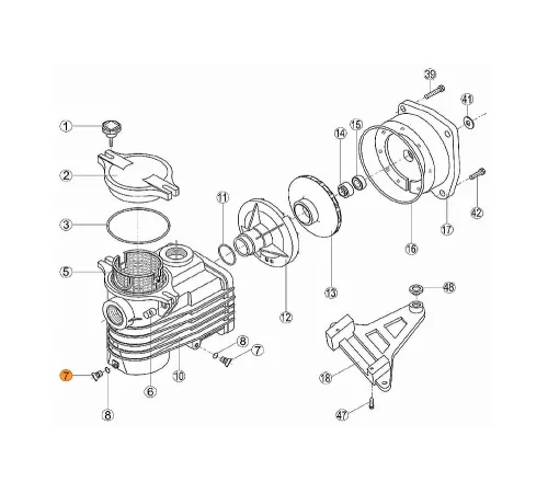 Винт сливной префильтра насосов OK,NK,KS,KAP с прокладкой Kripsol RKS 195.A/7