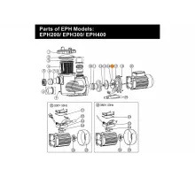 Прокладка крышки задней (фланца) насоса EPH Emaux 02010212