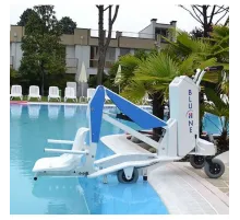 Лифт-подъемник для инвалидов Bluone