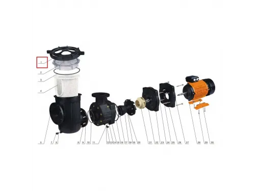 Гайка крышки префильтра насоса Aquaviva AVP серии