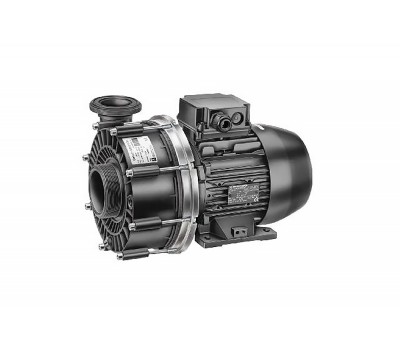Насос (1,6кВт 220В) Badu 21-50/43 G Speck (235.0430.138)