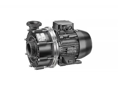 Насос (35 м3/ч, 1.6 кВт/ч, 220В) Speck adu 21-50/43 G (235.0430.138)