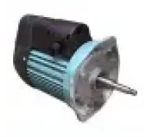 Двигатель к насосу SS050 (220В) Emaux 89022105