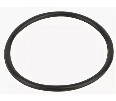 Прокладка-кольцо фланца бочки фильтра FSU Emaux (02010045)